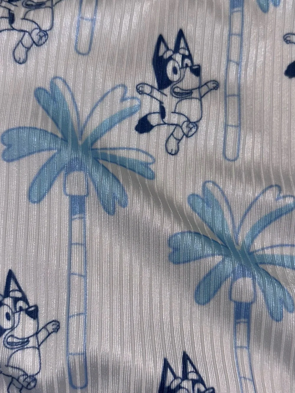 Bluey Long-Sleeve Kids Bikini Set in white & Blue Palm Print Toddler Girls 5T